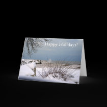 Winter Along The Lake cards