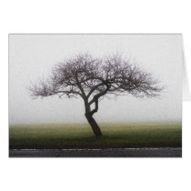 Winter Apple Tree
