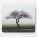 Winter Apple Tree mousepads