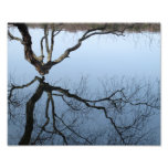 Winter at Jamaica Pond, 8x10 photo print