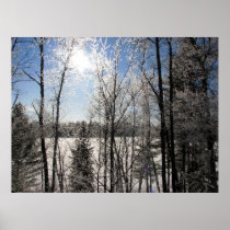 Winter Awe