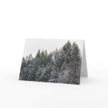 Winter Beauty Greeting Card