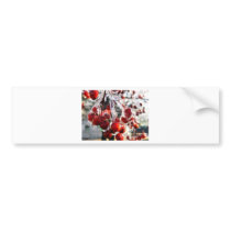 Winter Berries Bumper Stickers