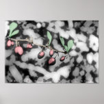 Winter Berries posters