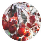 Winter Berries stickers