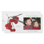 Winter Berry - Photocard