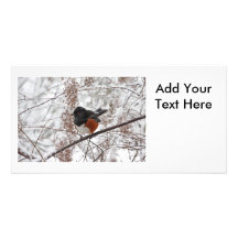 Winter Bird in the Snow Photo Cards