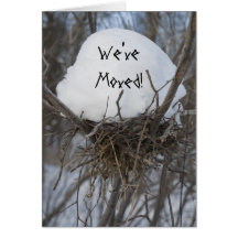 Winter Bird Nest Change of Address Card