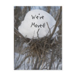 Winter Bird Nest Change of Address Post Cards