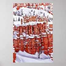 Winter Blanket Print