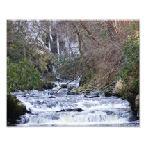 Winter Blast 10x8 Photographic Print