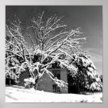 Winter Blast B+W posters