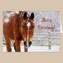 Winter Blizzard Horse Christmas Greeting Card cards
