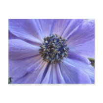 Winter Blue Postcard