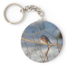 Winter Bluebird Animal Nature Photo Keychain