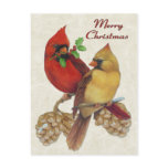 Winter Cardinals postcards