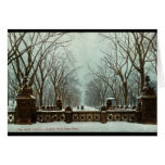 Winter Central Park NY Vintage c1910 Greeting Cards