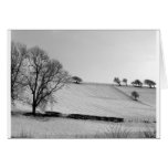Winter Collection C Cards