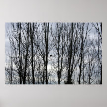 Winter Crow Poster