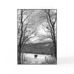 Winter Day cards