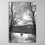 Winter Day posters