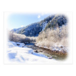Winter Day Walk Along the River Bank Postcards