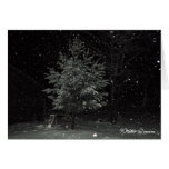 Winter Dream cards