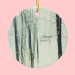 Winter Dream ornaments