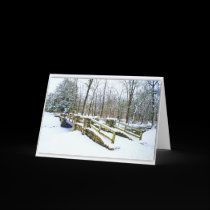 "Winter Dreams"  Invitation cards