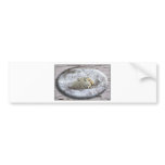 Winter Family Bumper Sticker