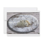 Winter Family invitations