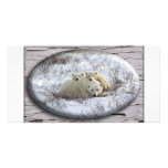 Winter Family photo cards