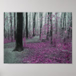 Winter Forest posters