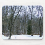 Winter Forest Scenery mousepads