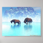 Winter Freedom posters