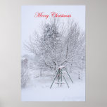 Winter Garden posters
