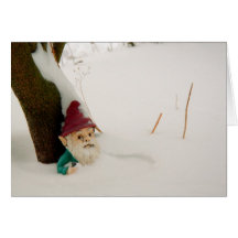 Winter Gnome Greeting Card