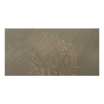 Winter Grass Customized Photo Card