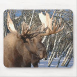 Winter Home Mousepad