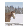 Winter Horse Post Cards