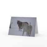 Winter Horses cards