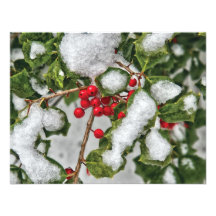 Winter - Ice coated Holly Personalized Invites