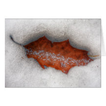 Winter Impression I Cards