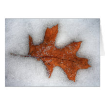 Winter Impression II Greeting Cards