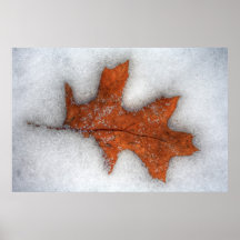 Winter Impression II Print