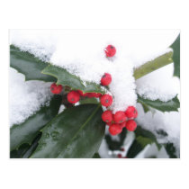 Winter in Alabama postcards