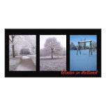 Winter in Holland photo cards