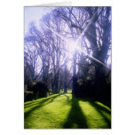 Winter in the Fitzroy Gardens cards