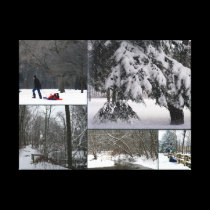 "Winter In The Park" Collage canvas prints