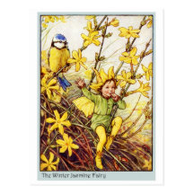 Winter Jasmine  Fairy Post Cards
